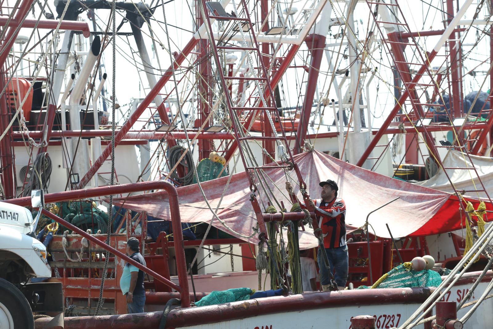 $!Pescadores alistan embarcaciones camaroneras para el final de la veda