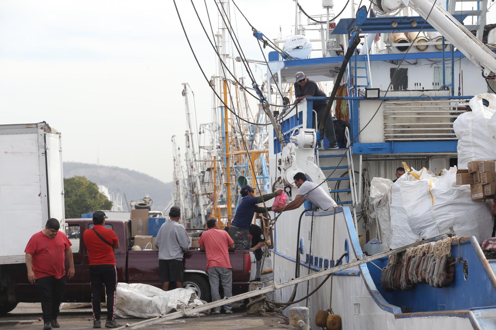 $!Está amarrado el 90% de la flota camaronera, esperan inicio de la veda; solo 10% anda en altamar