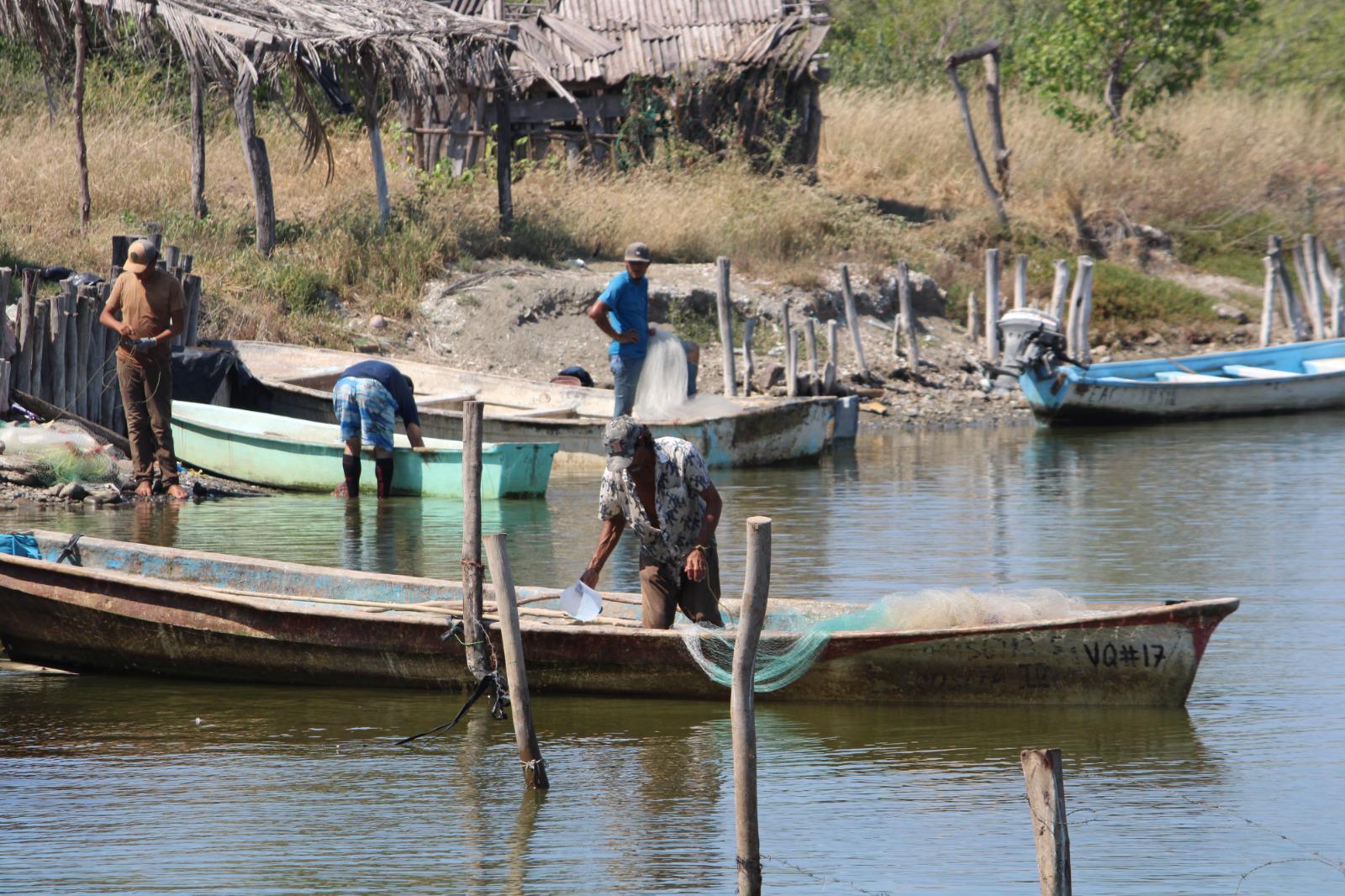 $!Donaciano recuerda cuando el camarón de El Caimanero se daba en abundancia y hasta se exportaba