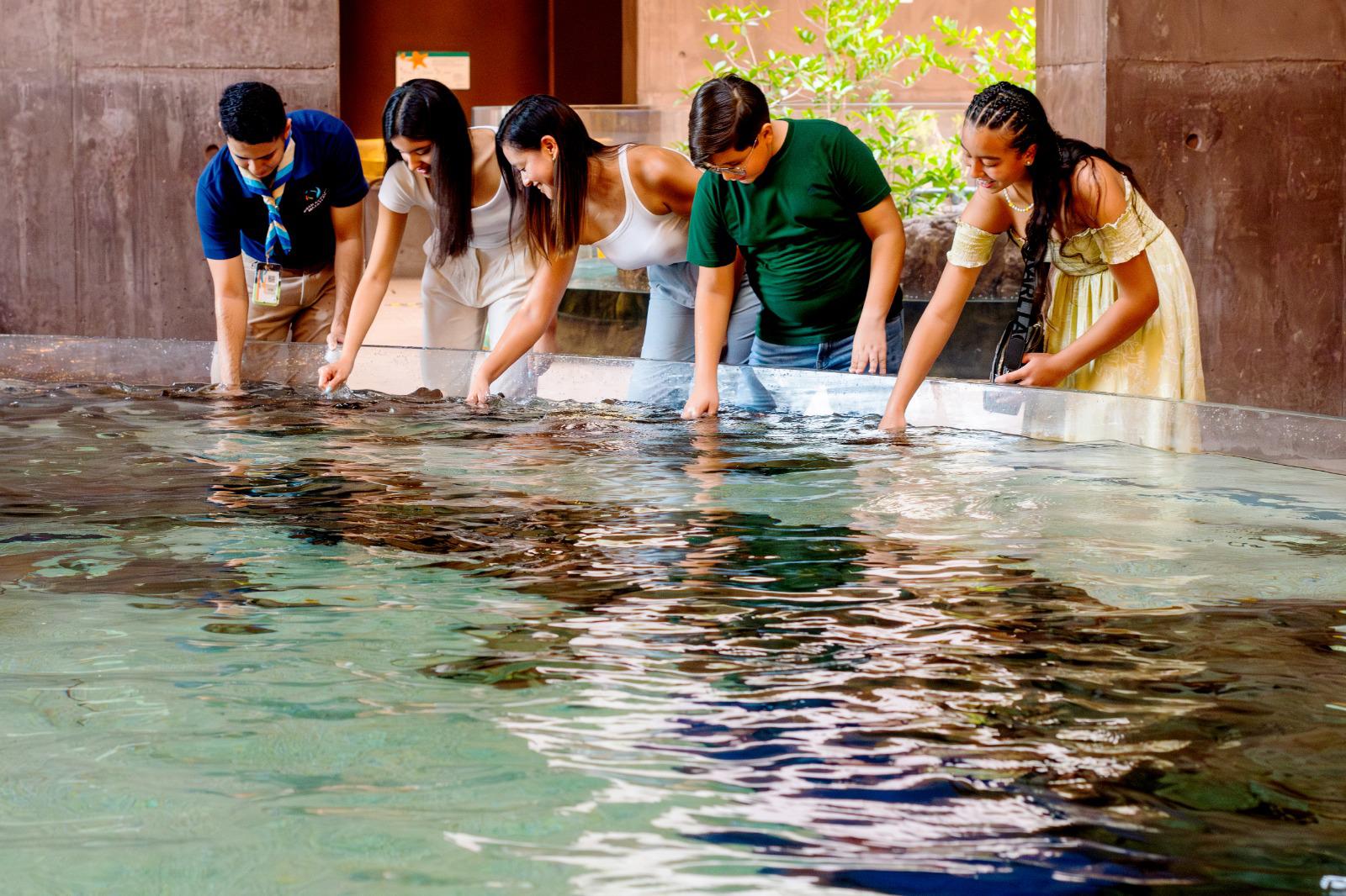 $!Invitan a disfrutar las Shark Nights, una experiencia nocturna en el Gran Acuario Mazatlán