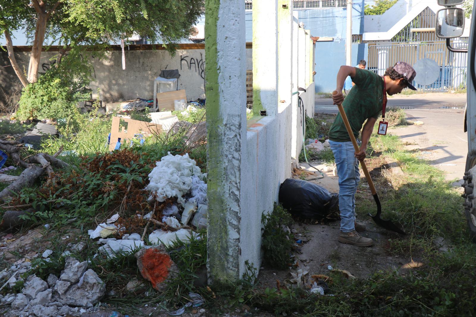 $!Fortalecerán campaña contra el dengue en Mazatlán