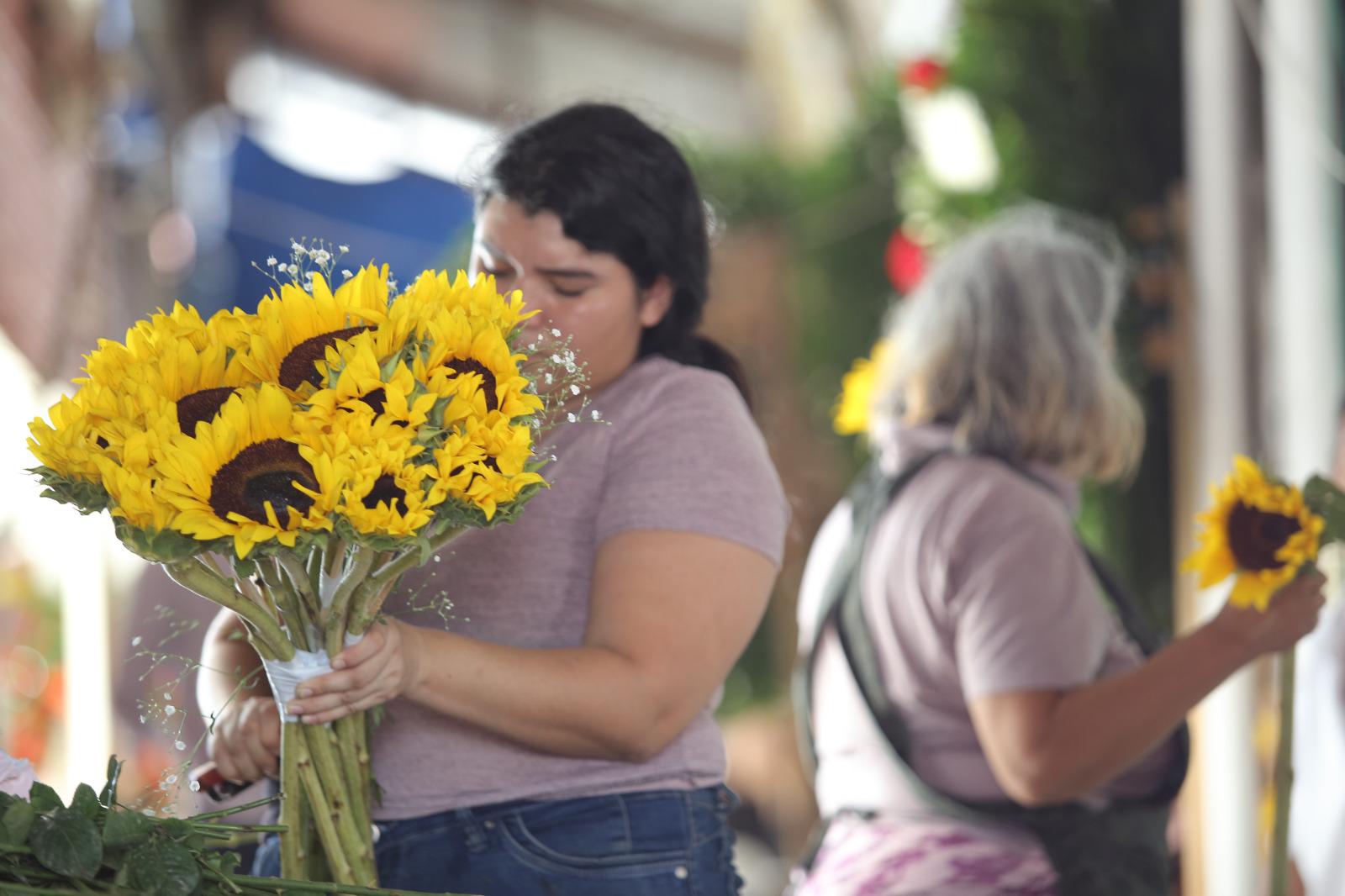 $!‘Fiebre’ de las flores amarillas se apodera de Mazatlán con ventas fluidas