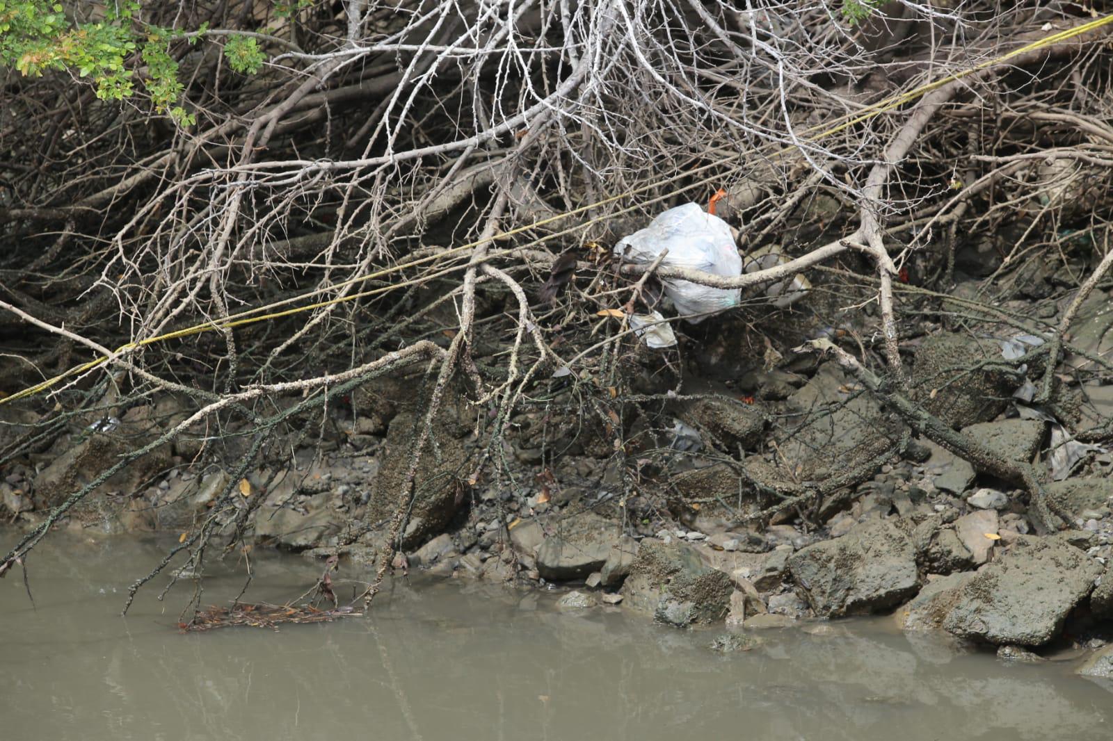 $!De continuar la contaminación en el Estero del Yugo, playas de Mazatlán no serán aptas para bañistas: Sofía Trejo