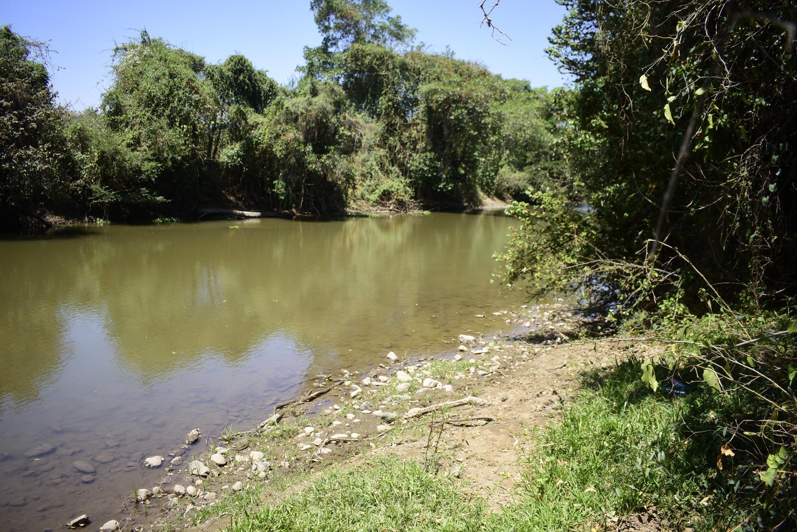 $!Denuncian devastación de flora y dos arroyos en Palos Blancos, en Culiacán