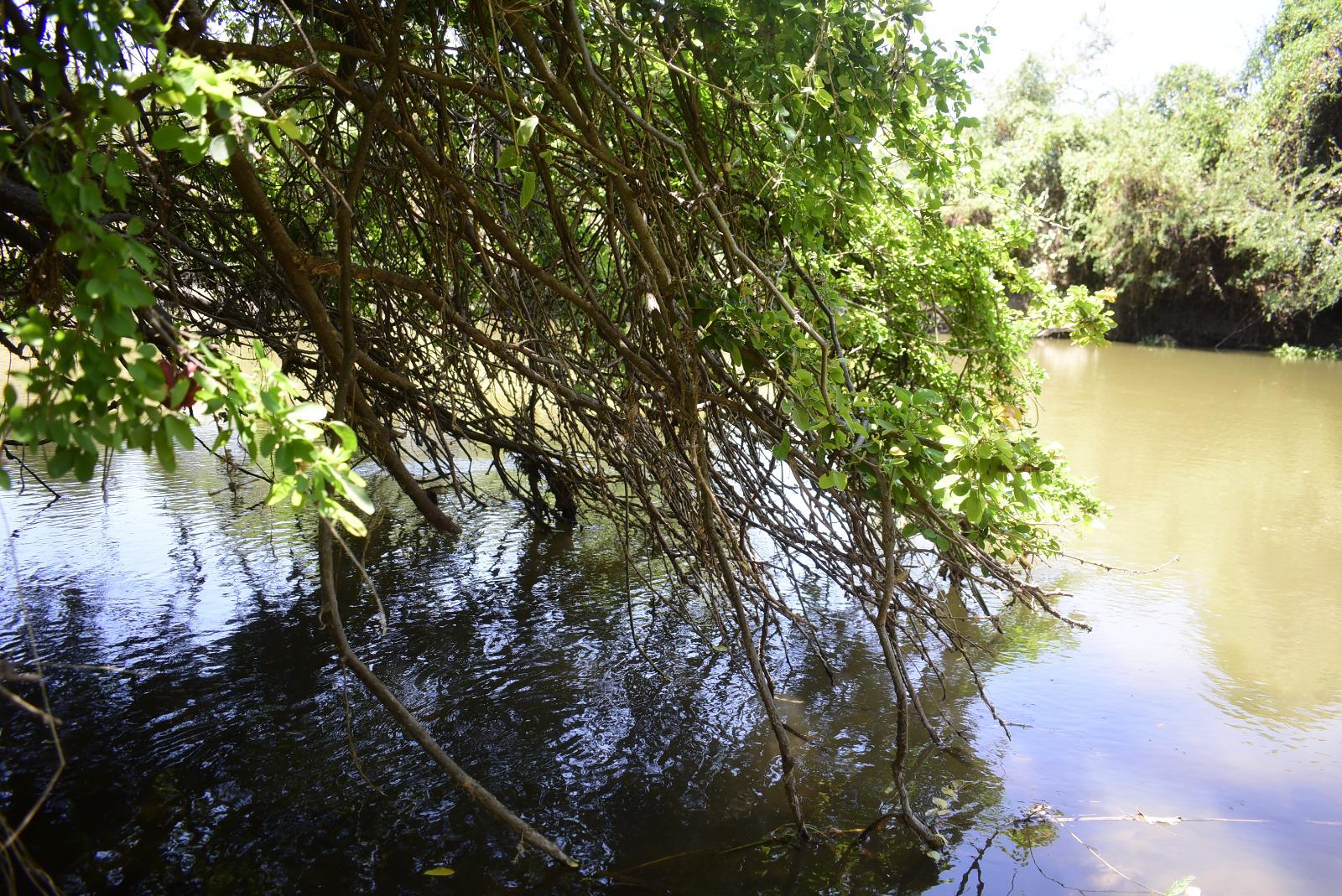 $!Denuncian devastación de flora y dos arroyos en Palos Blancos, en Culiacán