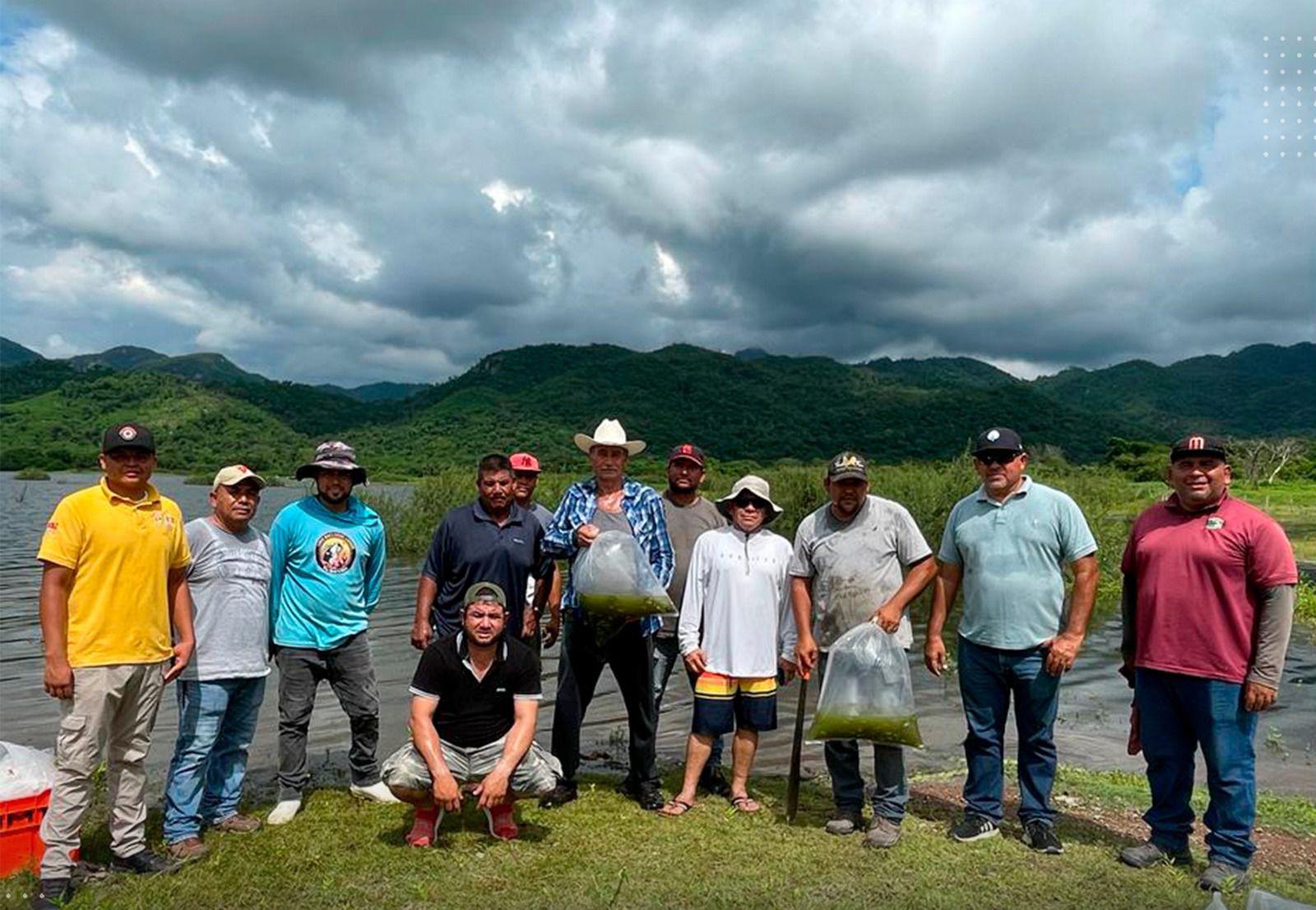 $!Siembran alevines de tilapia en la presa Agustina Ramírez ‘El Peñón’