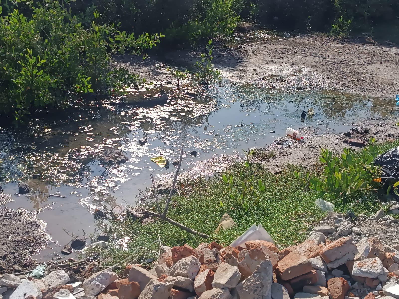 $!Estero del Infiernillo, en Mazatlán, sigue acumulando toneladas de basura