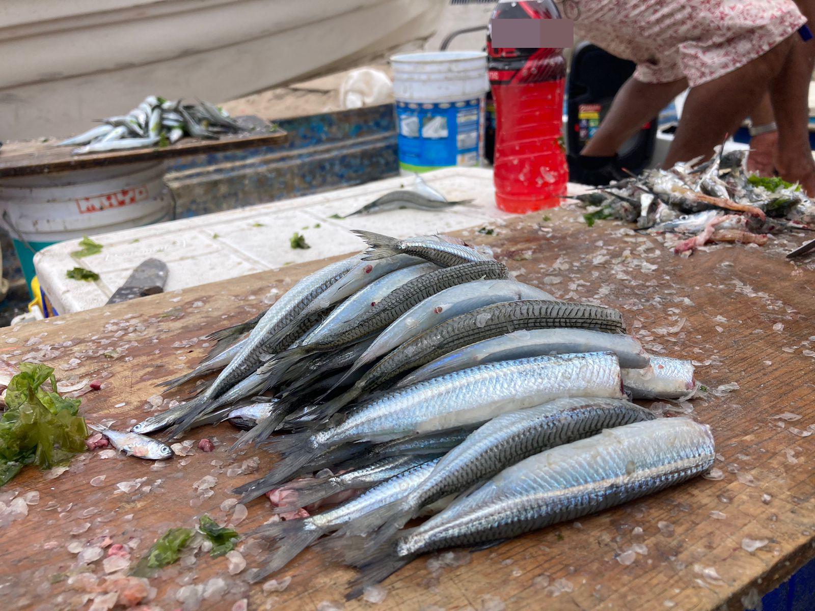 $!Ofertan ya el tradicional manjar mazatleco, el ‘pajarito’, en Playa Norte