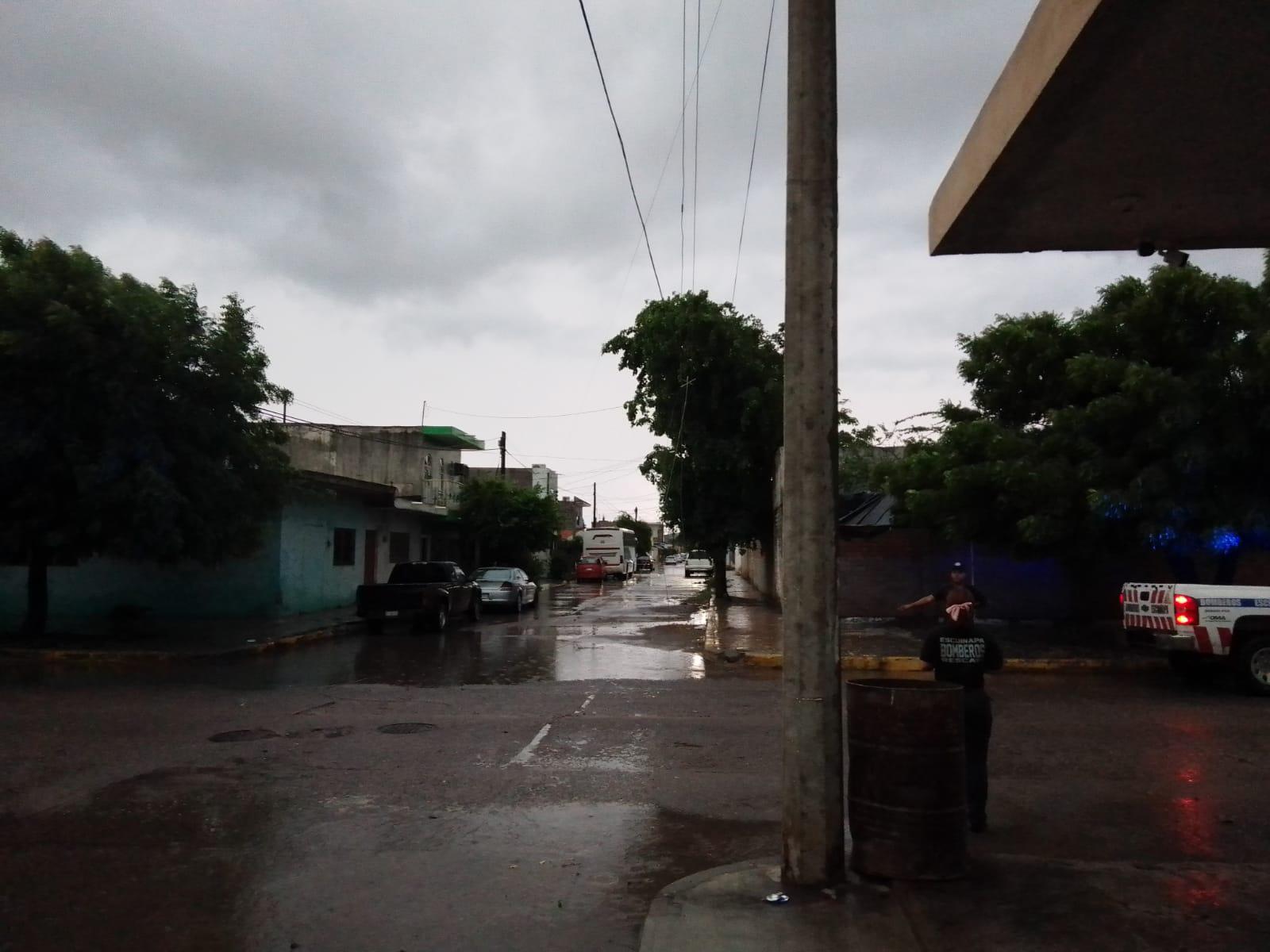 $!Apagones de energía, árboles y cables caídos deja tormenta en Escuinapa