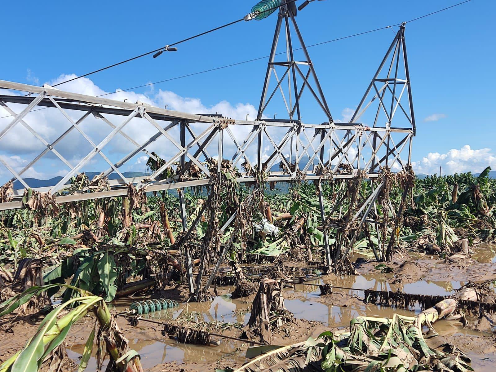 $!Tras el paso del huracán ‘Lidia’, CFE restablece servicio en Colima, Jalisco, Michoacán y Nayarit