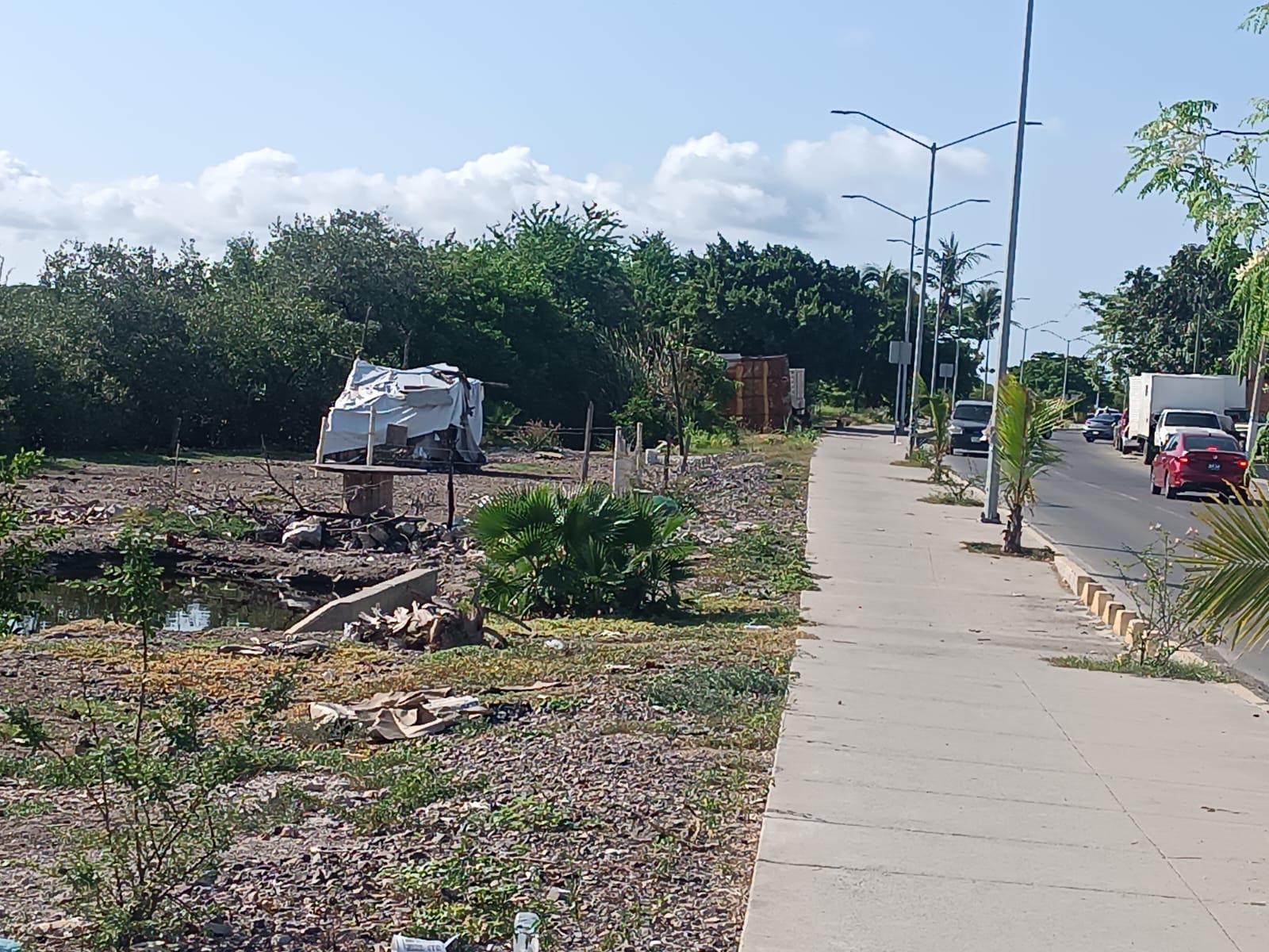 $!Estero del Infiernillo, en Mazatlán, sigue acumulando toneladas de basura