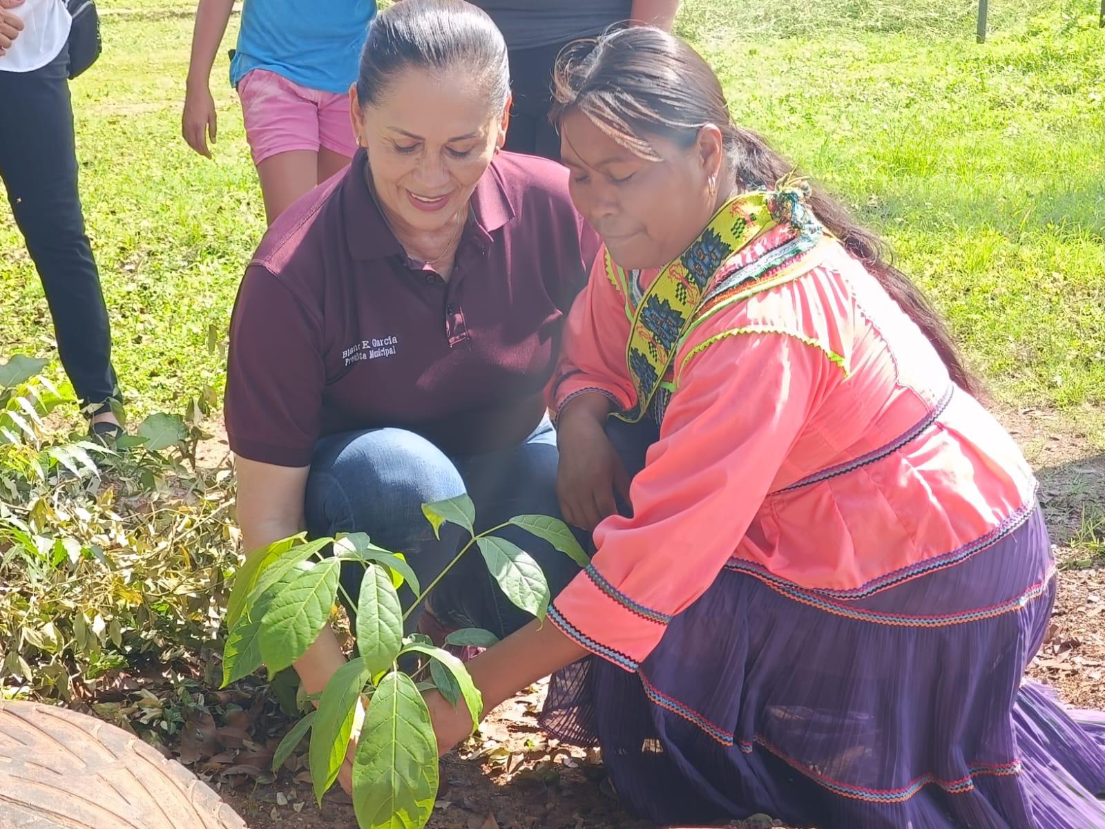 $!Combaten el dengue en Palmillas y siembran árboles