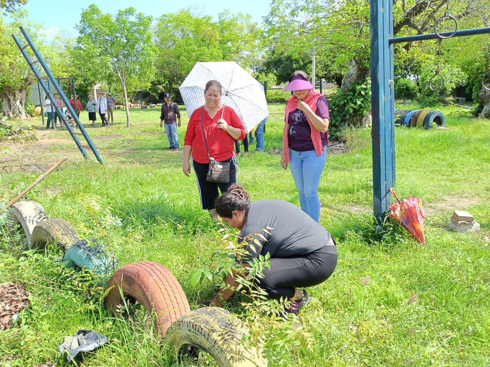 $!Combaten el dengue en Palmillas y siembran árboles