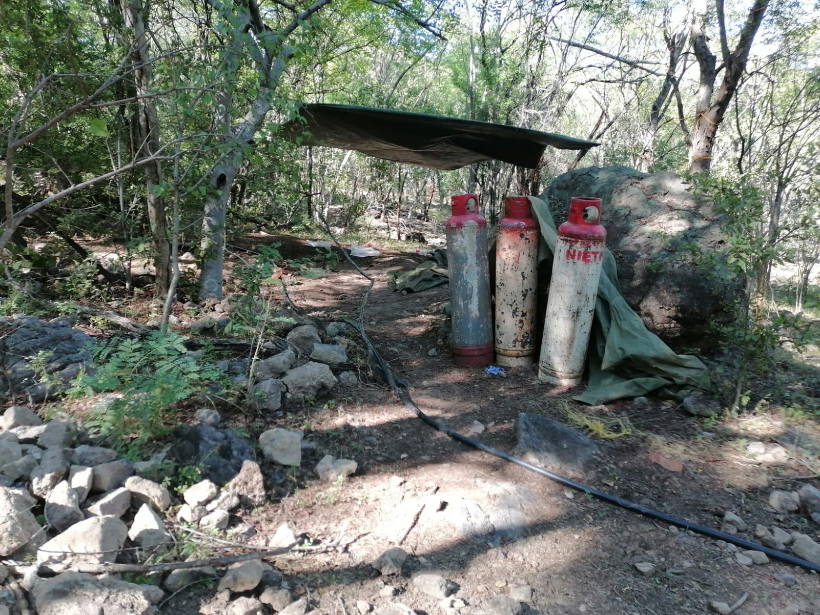 $!Asegura el Ejército laboratorio clandestino en Sinaloa de Leyva