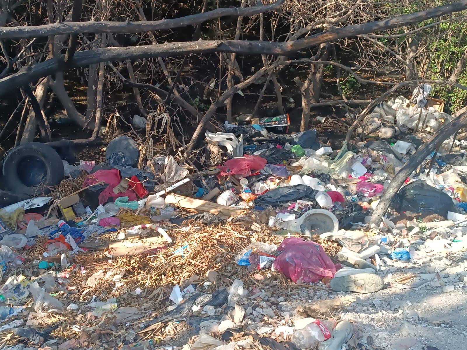 $!Estero del Infiernillo, en Mazatlán, sigue acumulando toneladas de basura