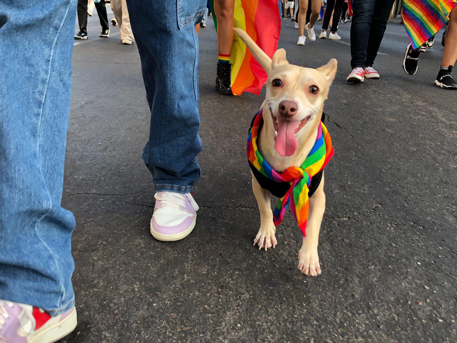 $!‘Colorea’ marcha LGBT con música, euforia y diversidad a Culiacán