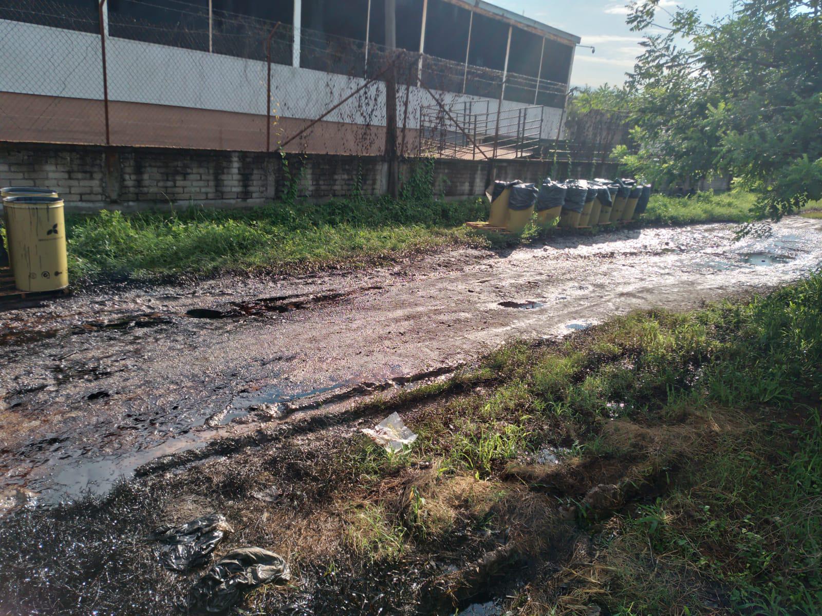 $!Derrama planta procesadora de mango en Escuinapa combustóleo y contamina Arroyo Juana Gómez