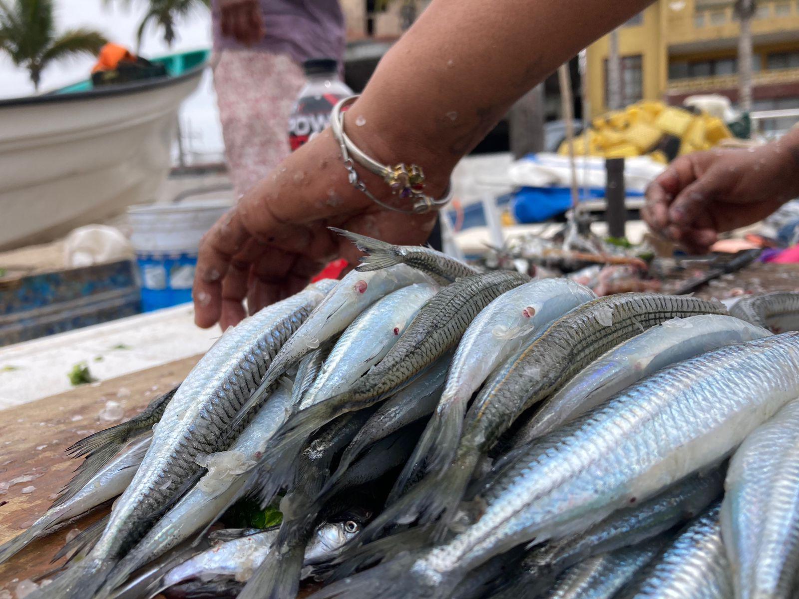 $!Ofertan ya el tradicional manjar mazatleco, el ‘pajarito’, en Playa Norte