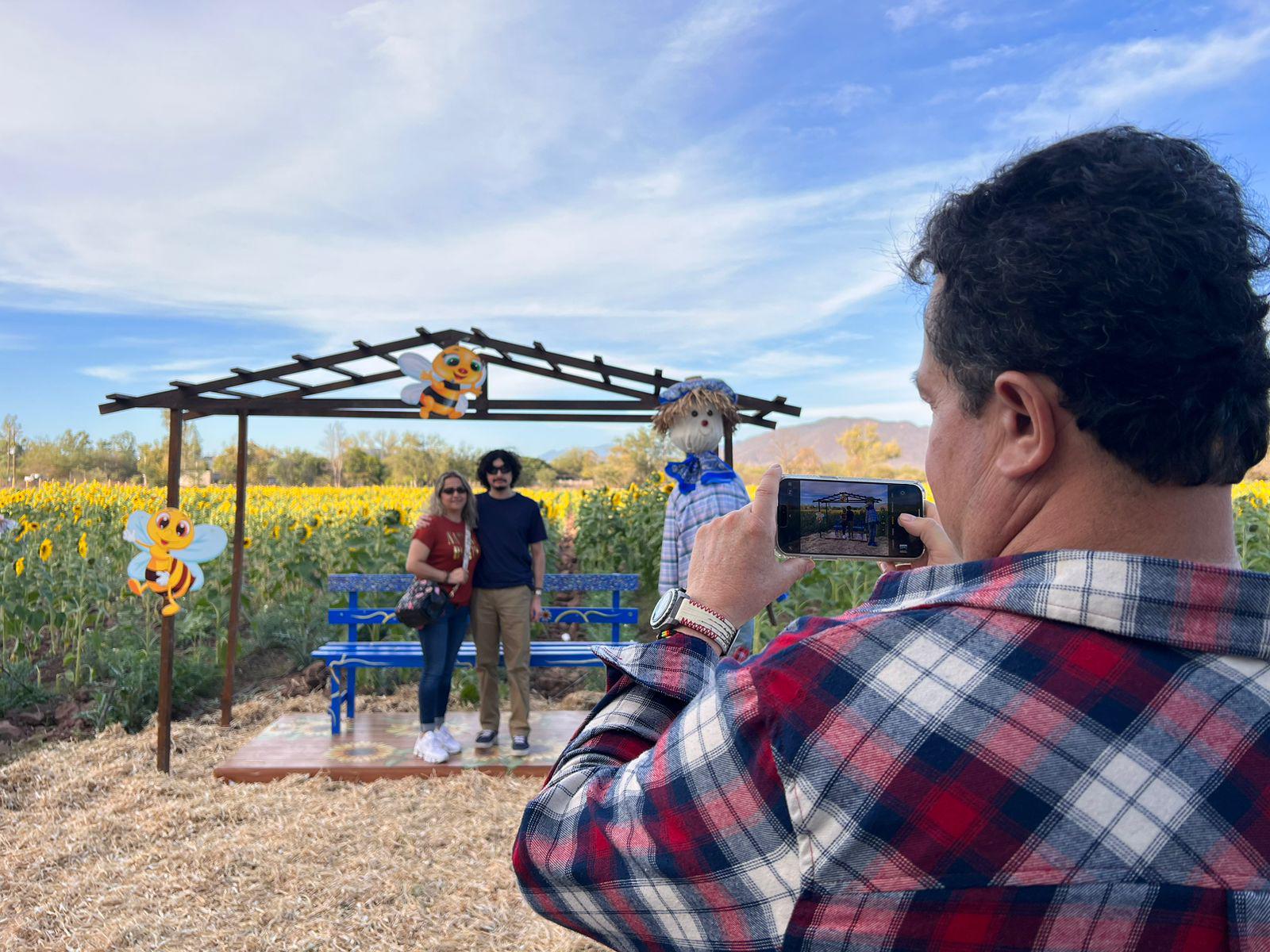 $!Llega la primavera al campo de girasoles en Mocorito; abren visitas