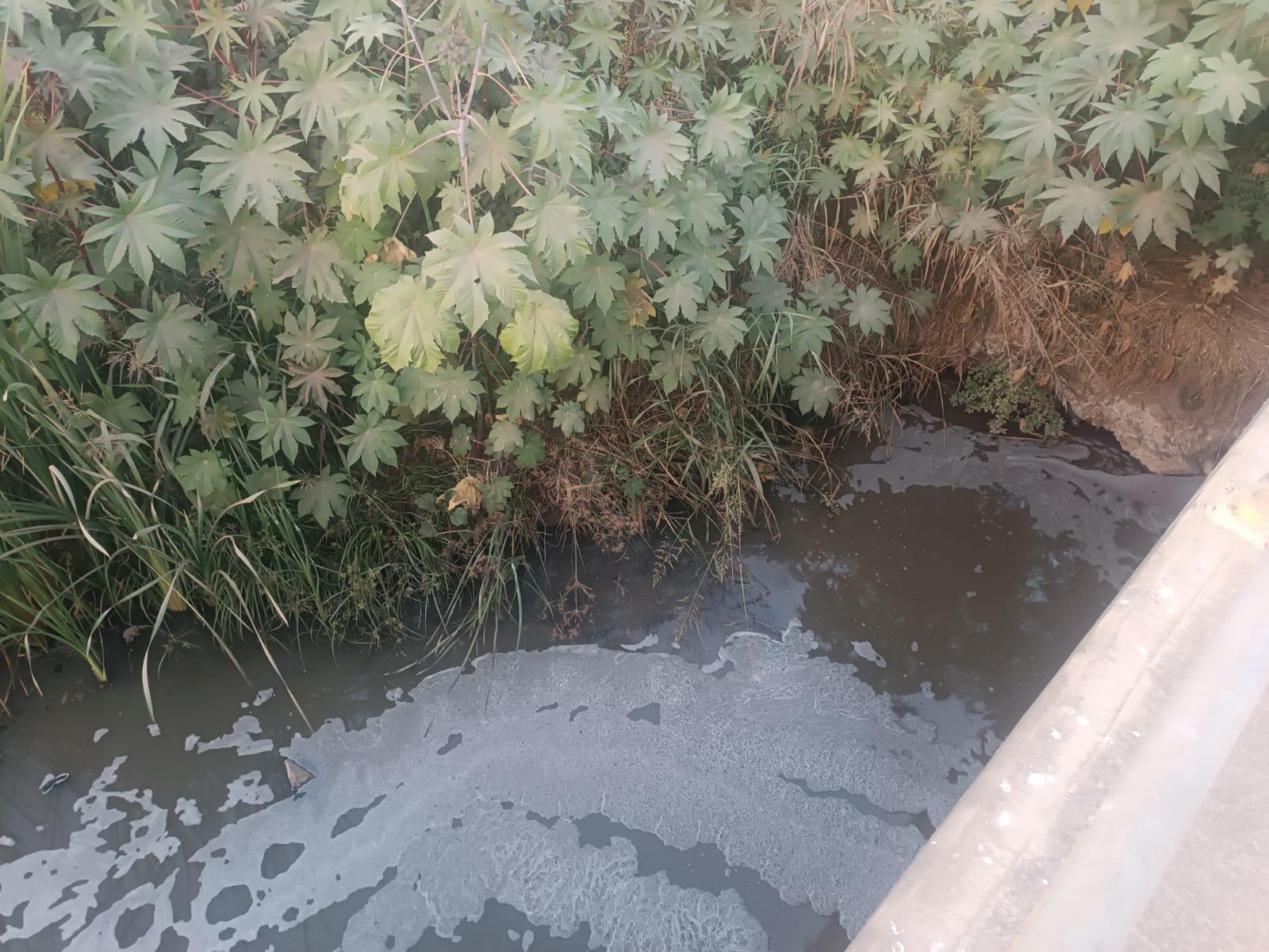 $!Infestado de drenaje y con mal olor luce el arroyo Jabalines de Mazatlán