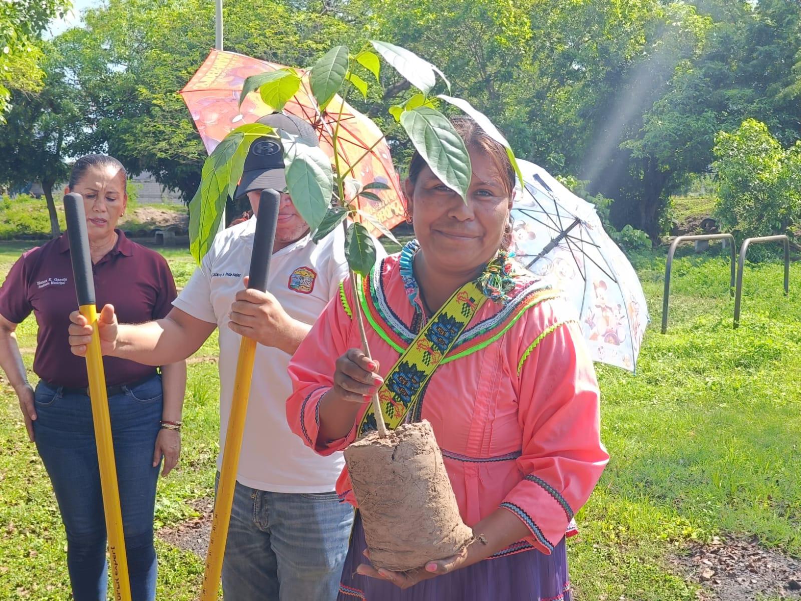 $!Combaten el dengue en Palmillas y siembran árboles