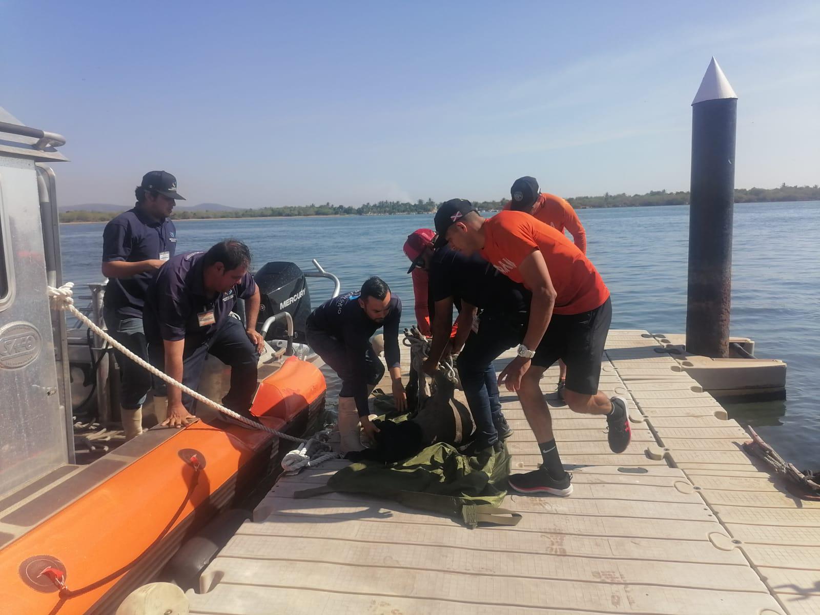 $!Marina rescata a un venado que nadaba en canal de navegación de Mazatlán