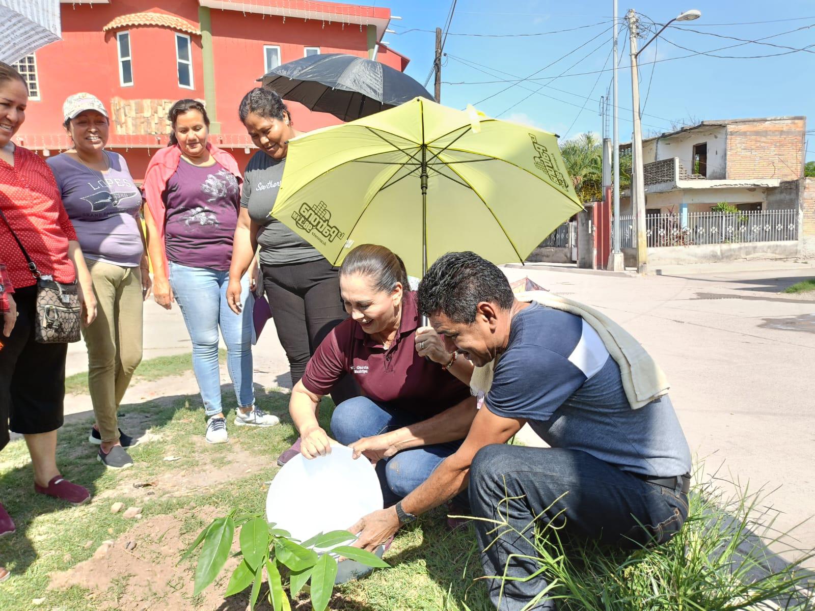 $!Combaten el dengue en Palmillas y siembran árboles