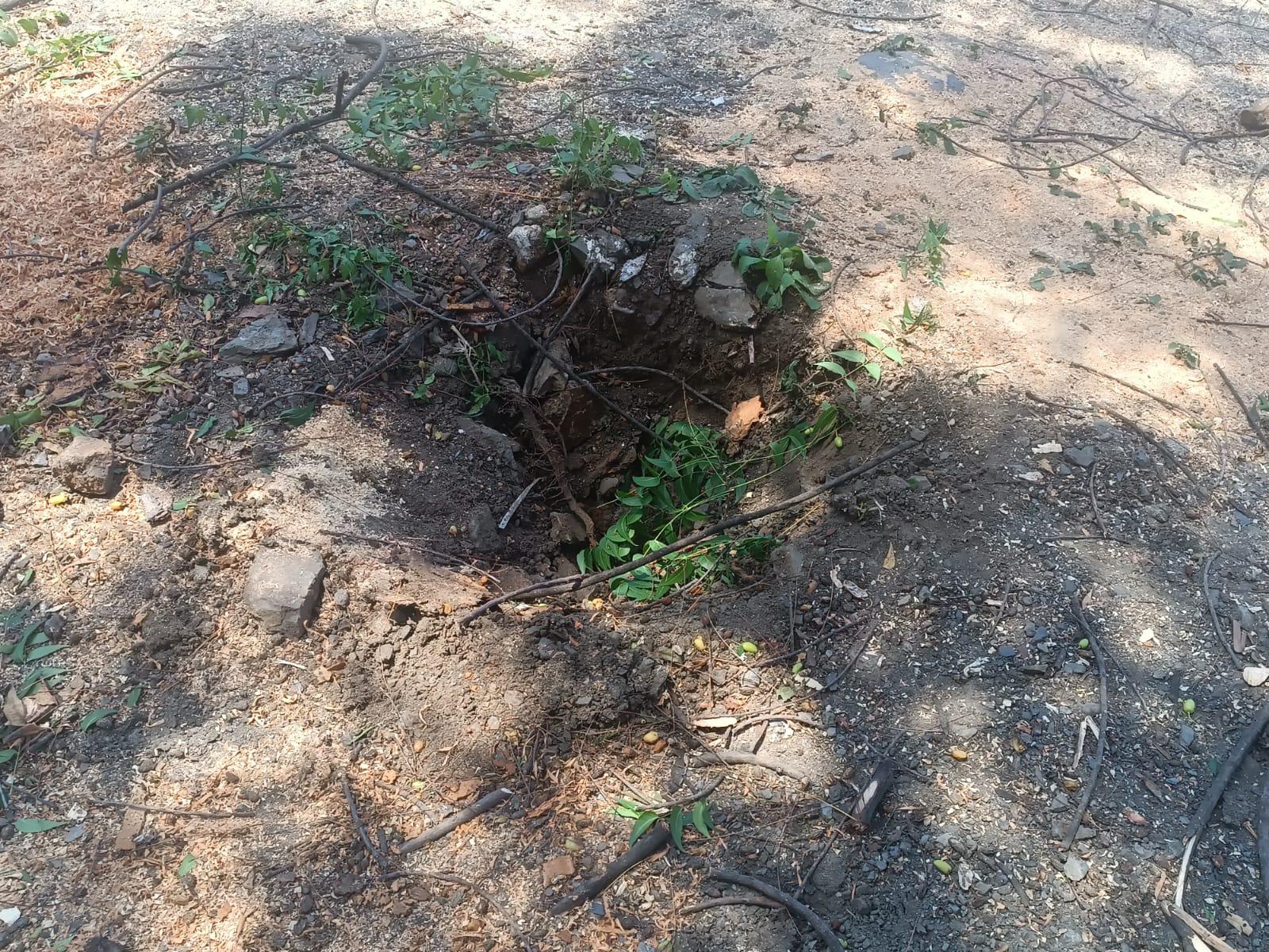 $!Maestra resulta lesionada tras caerle un árbol en secundaria en Mazatlán