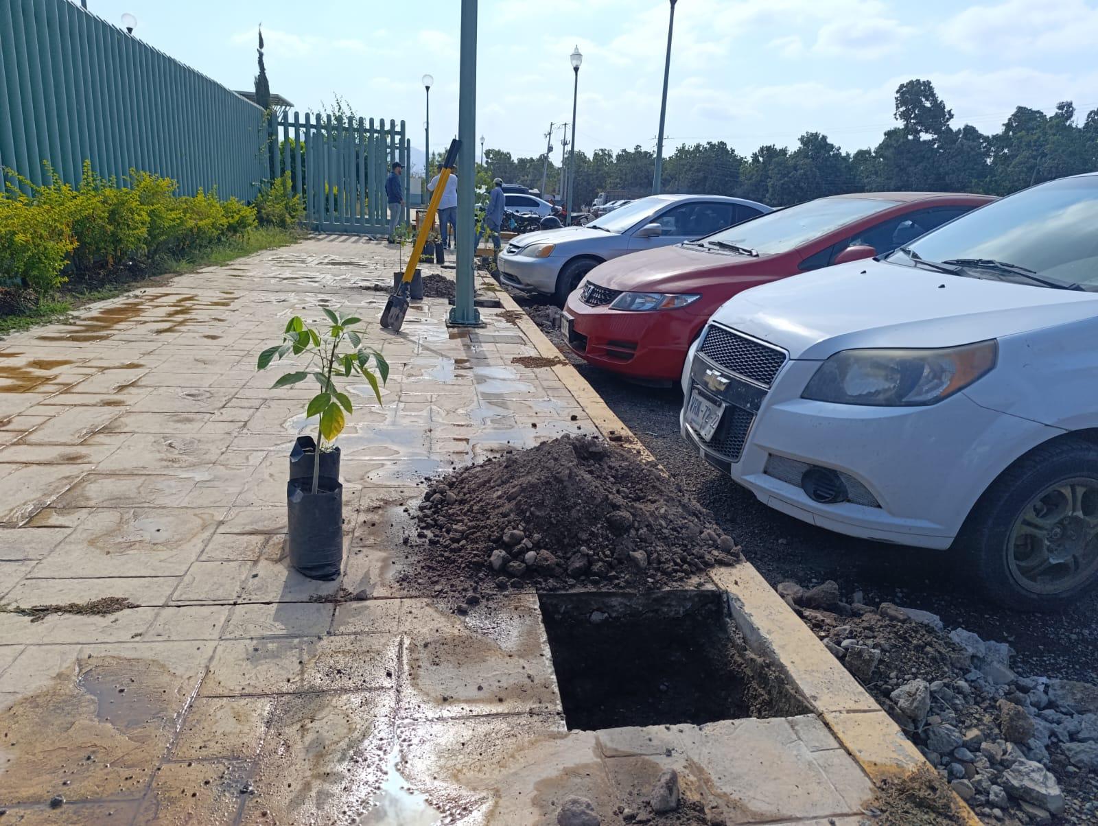 $!Reforestan estacionamiento de Hospital General en Escuinapa