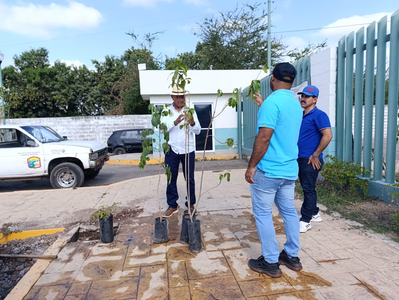 $!Reforestan estacionamiento de Hospital General en Escuinapa