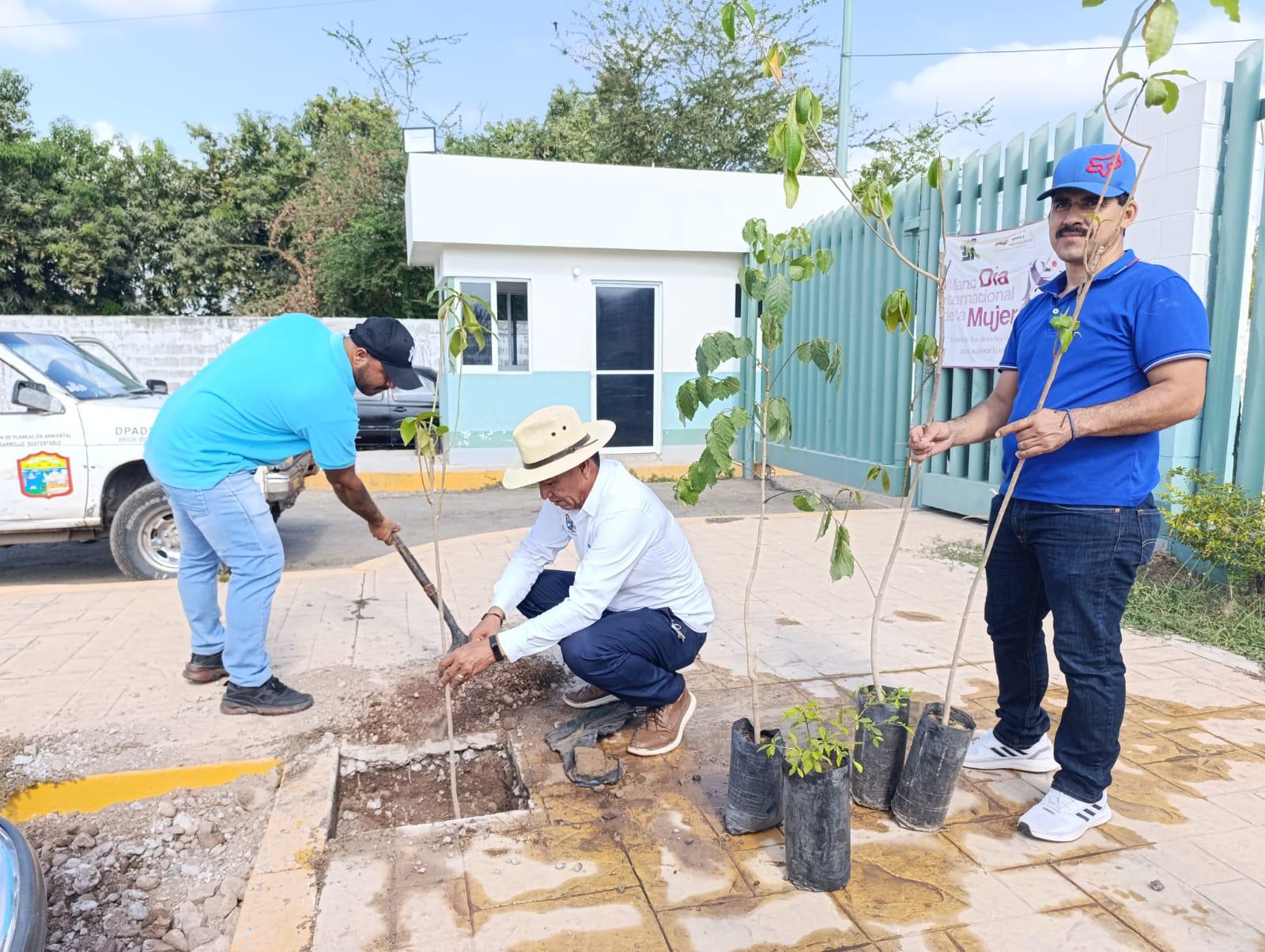 $!Reforestan estacionamiento de Hospital General en Escuinapa