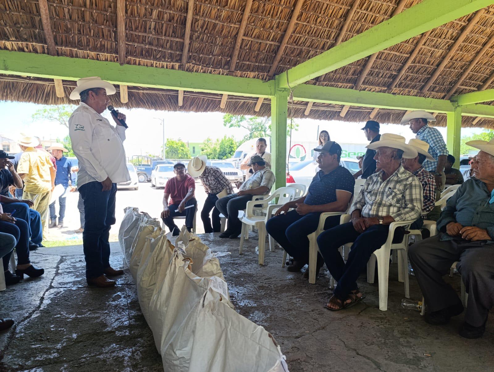 $!Reciben productores y ganaderos de Escuinapa 700 semillas de sorgo