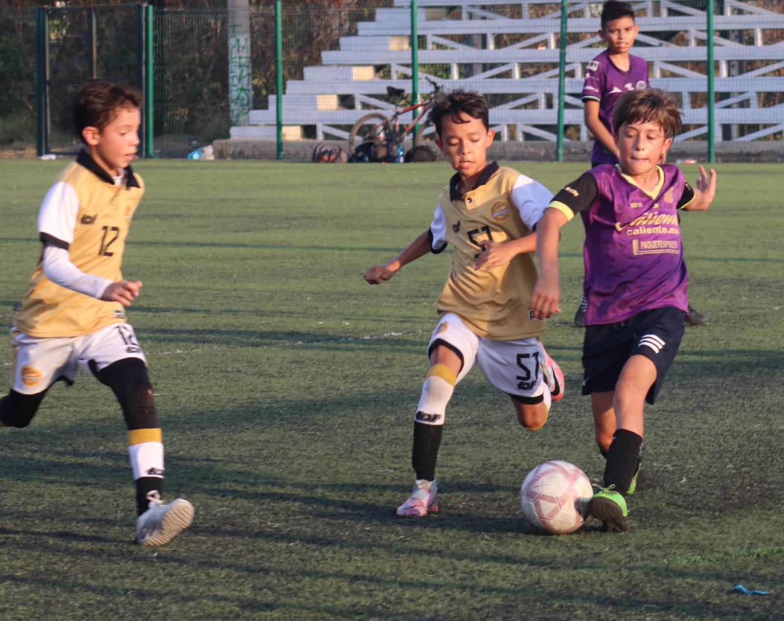 $!¡Brilla Dorados como campeón de la categoría Osos 2013!