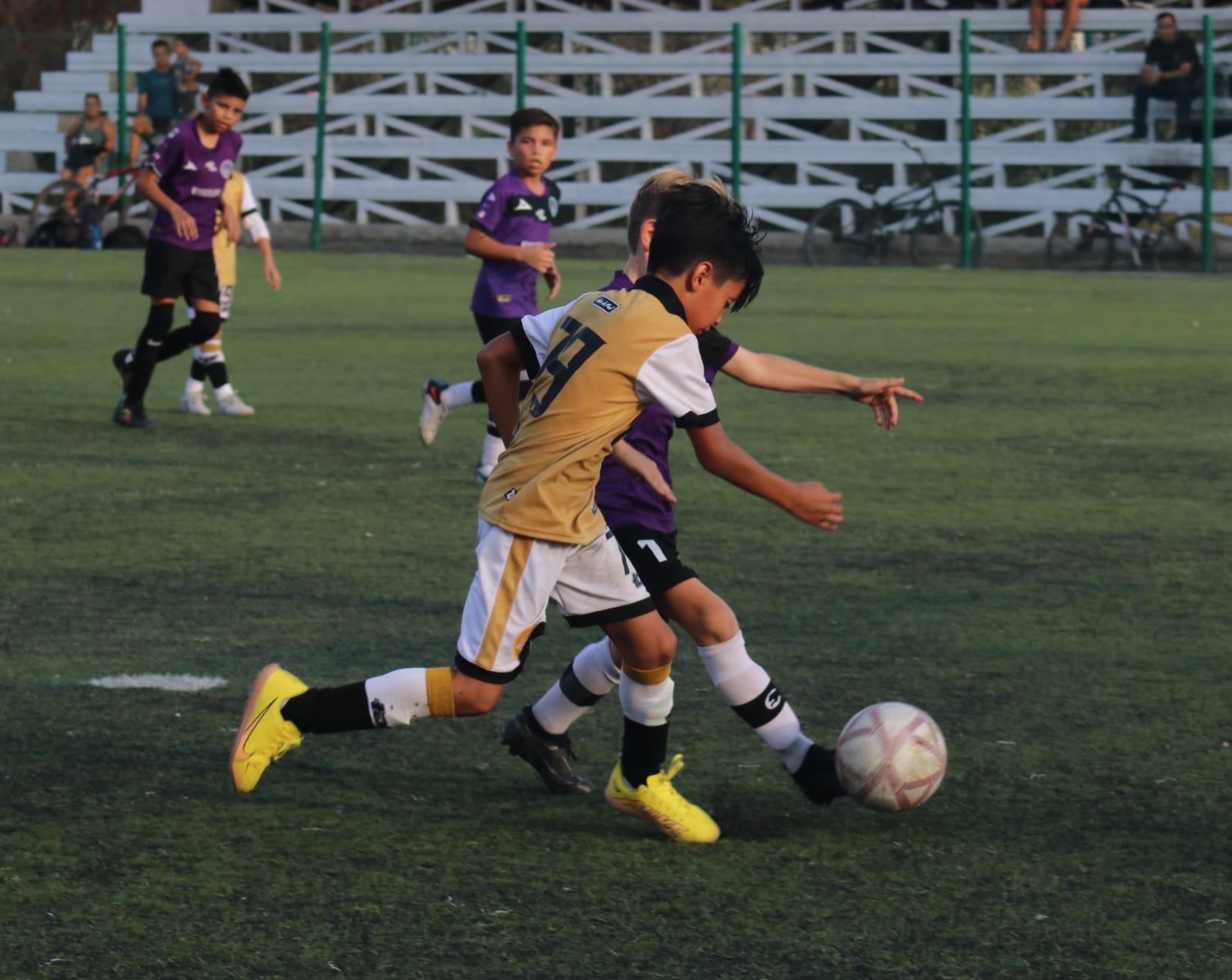 $!¡Brilla Dorados como campeón de la categoría Osos 2013!