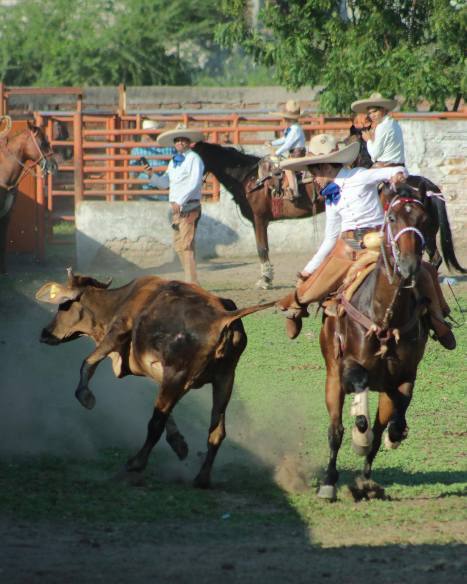 $!Celebran la cultura mexicana con el Primer Torneo de Floreo de Soga, en Villa Unión