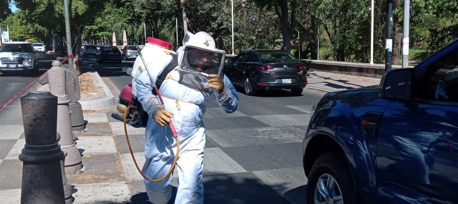 $!Tras casi cuatro horas, Protección Civil logra controlar enjambre de abejas que acechaba el puente bimodal