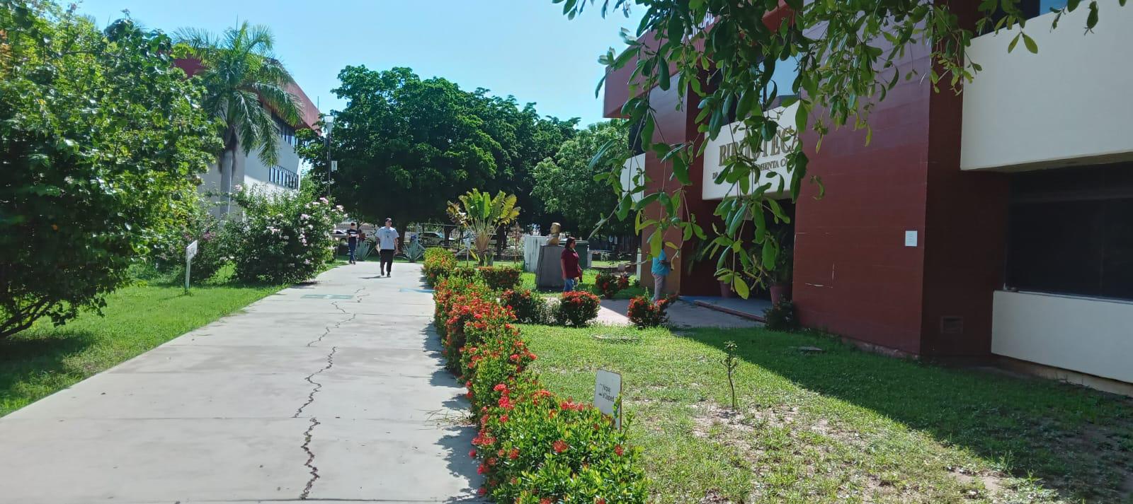 $!Atiende UAdeO unidad Culiacán petición de alumnos y mantiene clases en línea por inseguridad