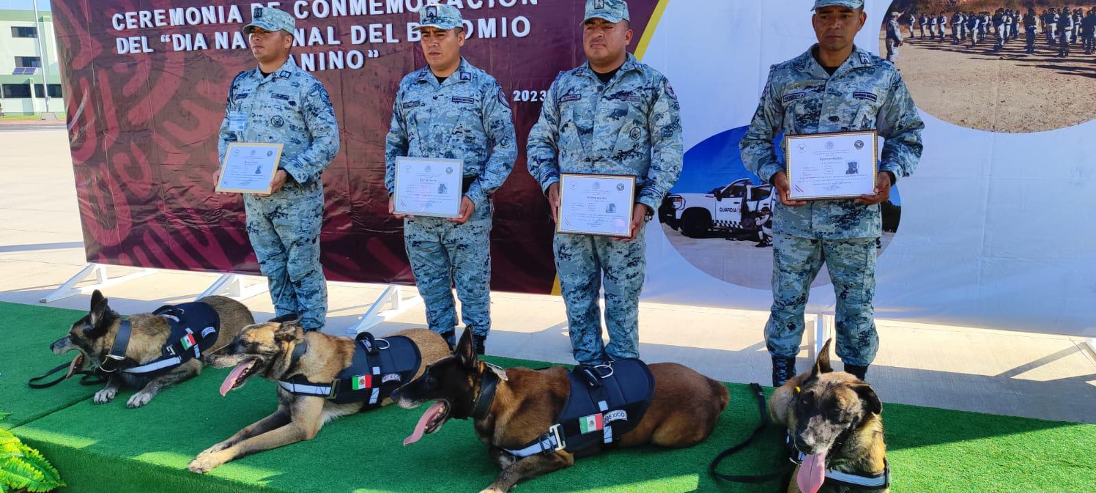 $!Reconocen a elementos de la unidad canina de la Guardia Nacional en su día