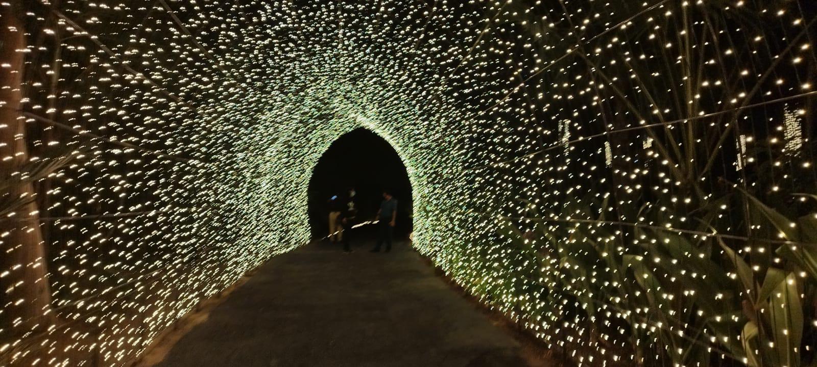 $!Regresa la magia con La Navidad en el Botánico