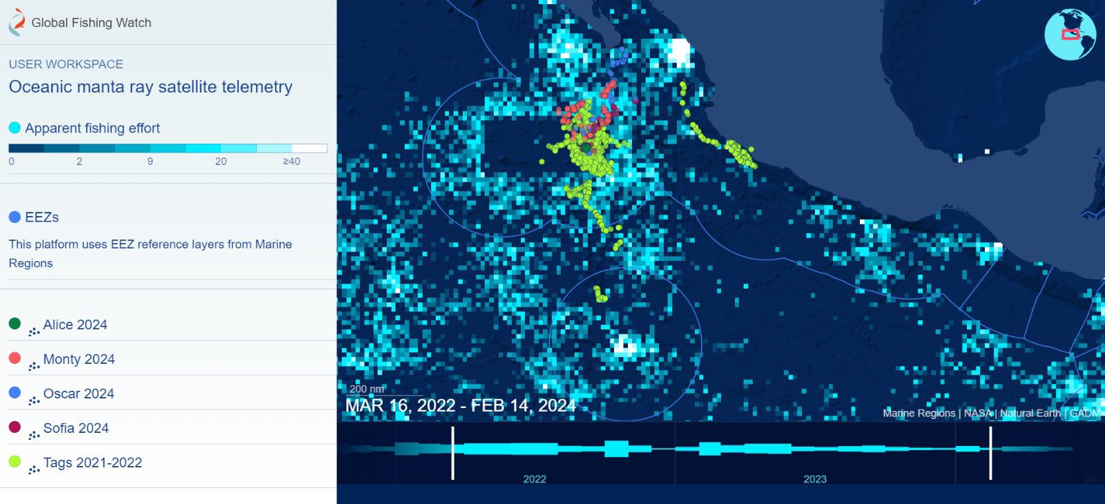 $!Alice, Monty, Óscar y Sofía son las mantas gigantes marcadas satelitalmente en Revillagigedo en lo que va del 2024. Este mapa muestra las posiciones de las marcas satelitales de cada una y la presión pesquera alrededor del Parque Nacional Revillagigedo.