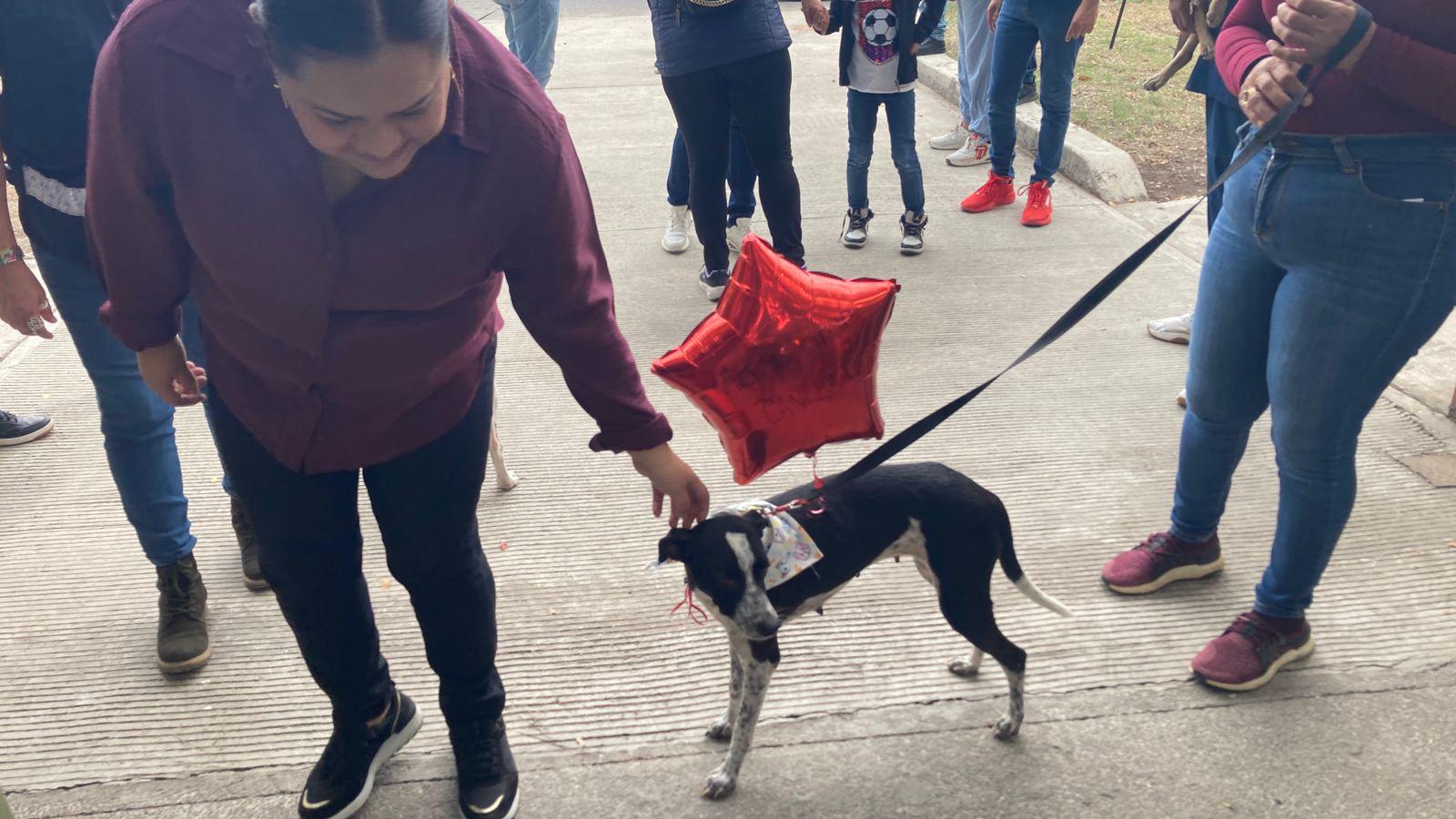 $!¡Adopta un lomito! Celebran campaña de adopción y esterilización ‘Huellitas del Bienestar’