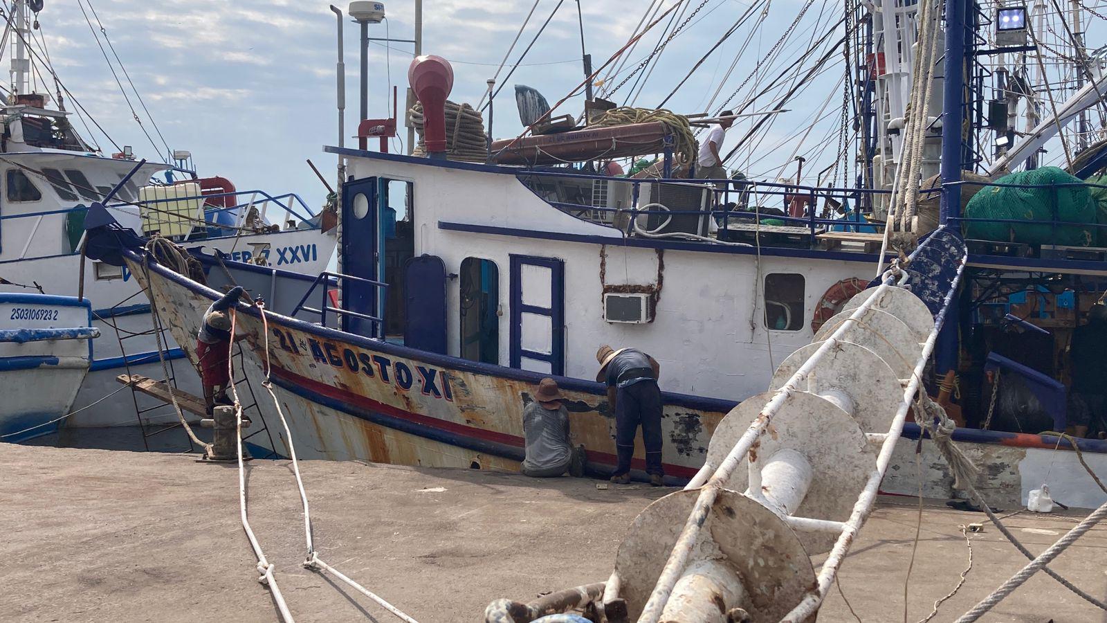 $!Menos del 50% de la flota camaronera de Mazatlán zarpará por falta de recursos