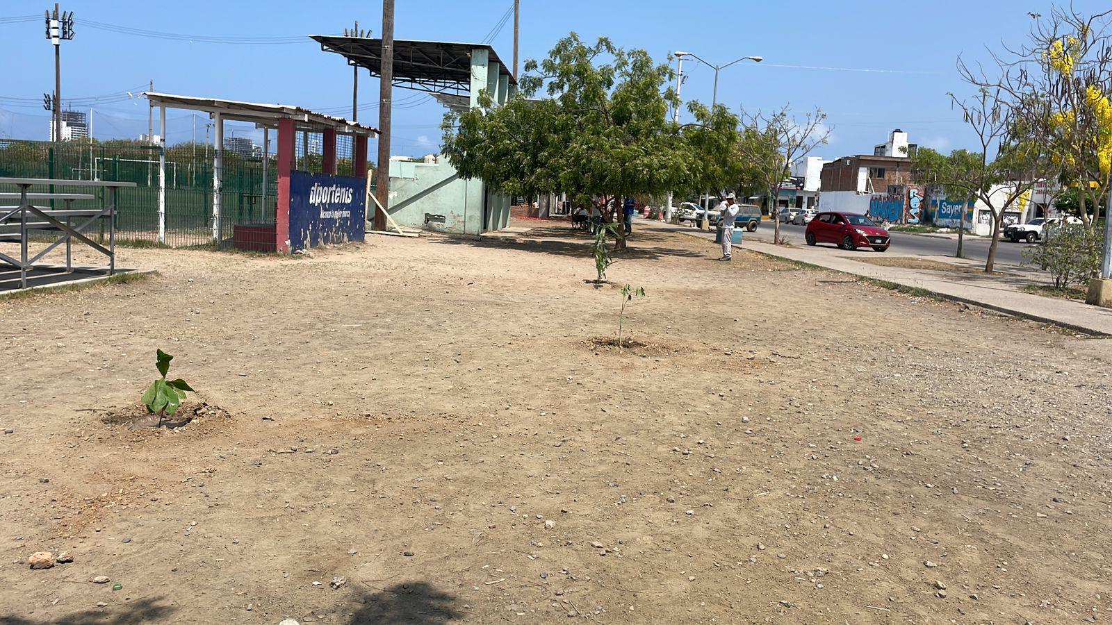 $!Comité de Futbol busca implementar campaña de reforestación de espacios deportivos en Mazatlán