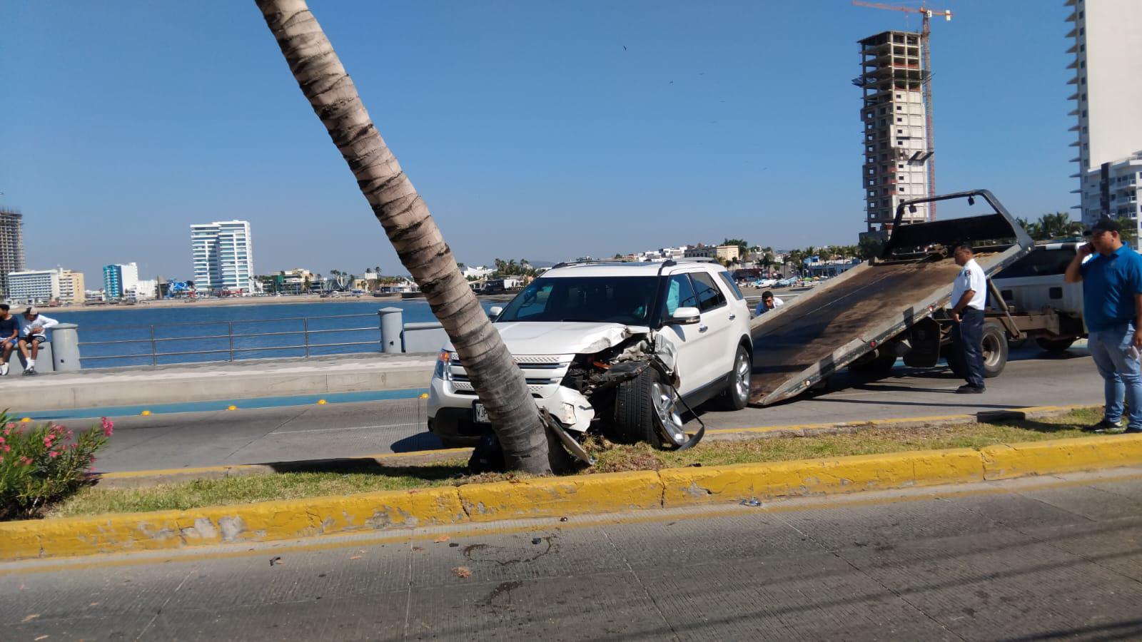 $!Choca camioneta con palmera en el Paseo Claussen, en Mazatlán