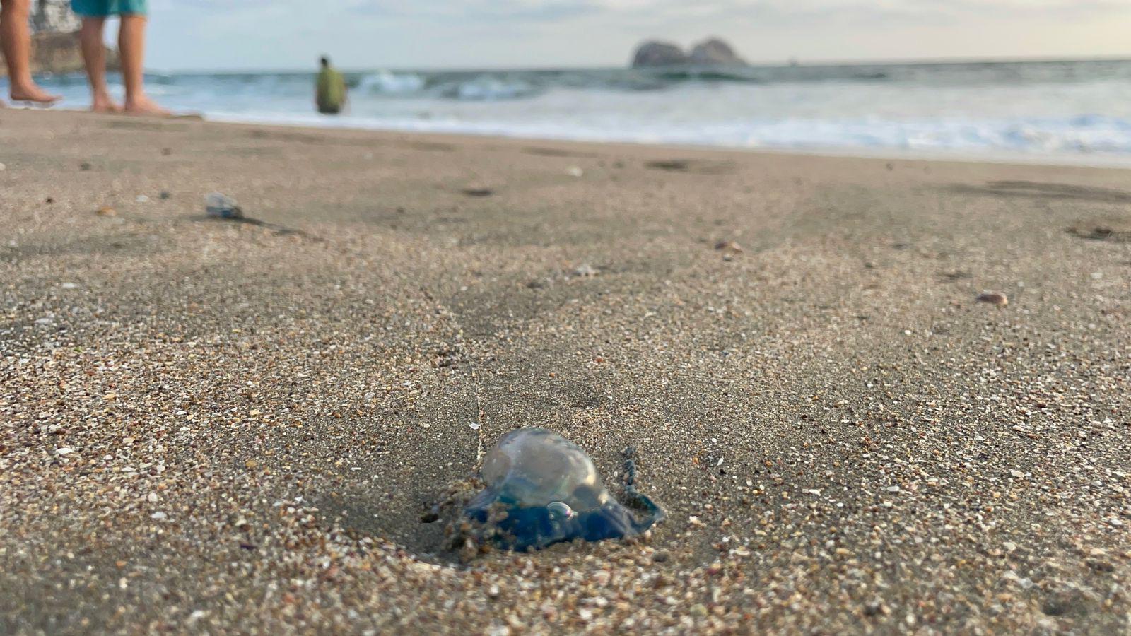 $!¡Cuidado!; hay quemadores en las playas de Mazatlán