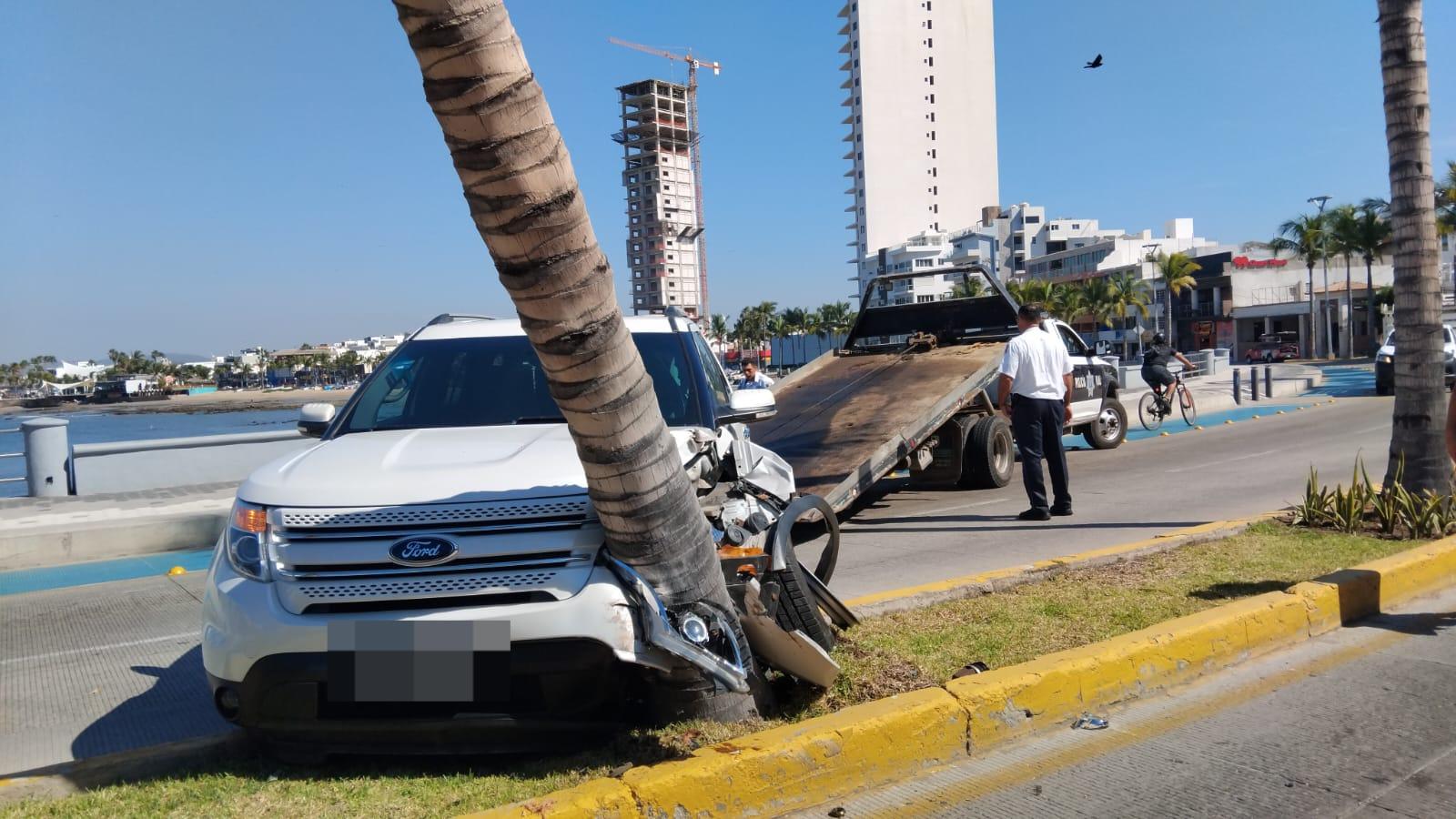 $!Choca camioneta con palmera en el Paseo Claussen, en Mazatlán