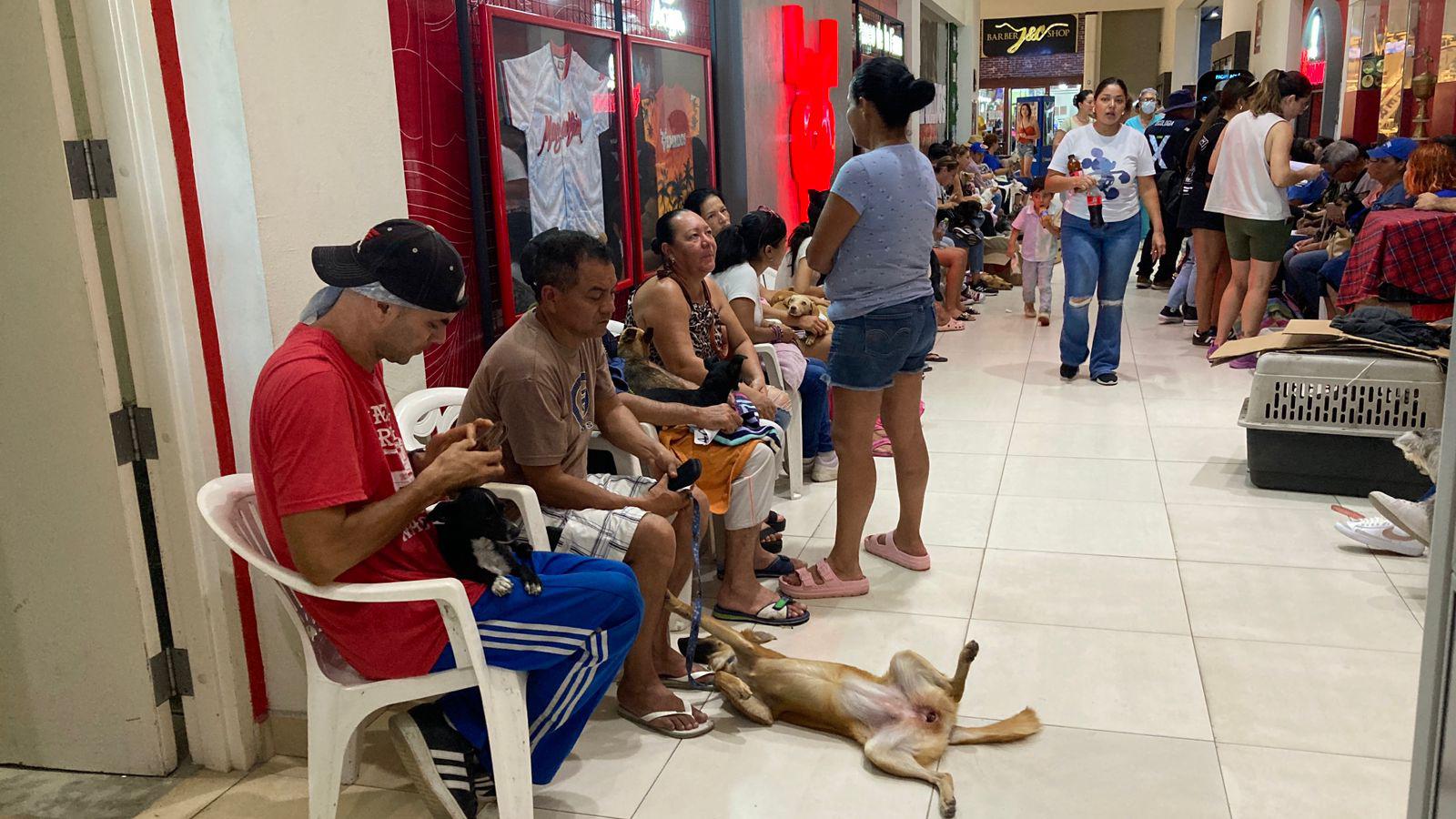 $!Atienden alrededor de 200 animales en la jornada de castración masiva