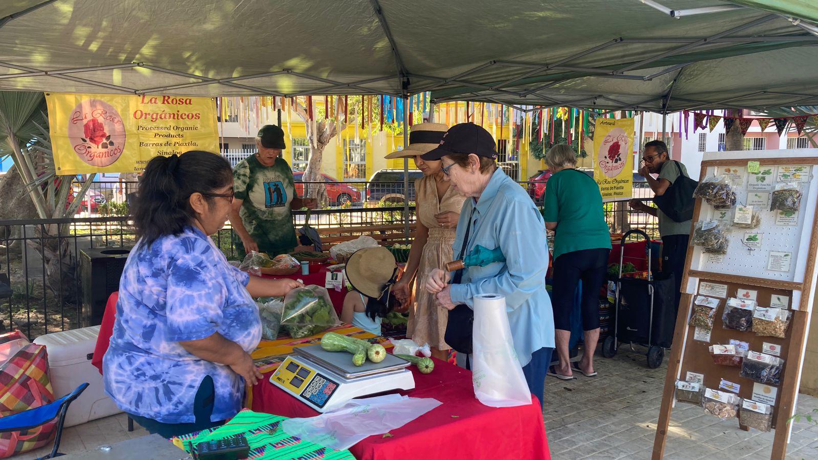 $!Regresa el Mercado Orgánico a la Plazuela Zaragoza