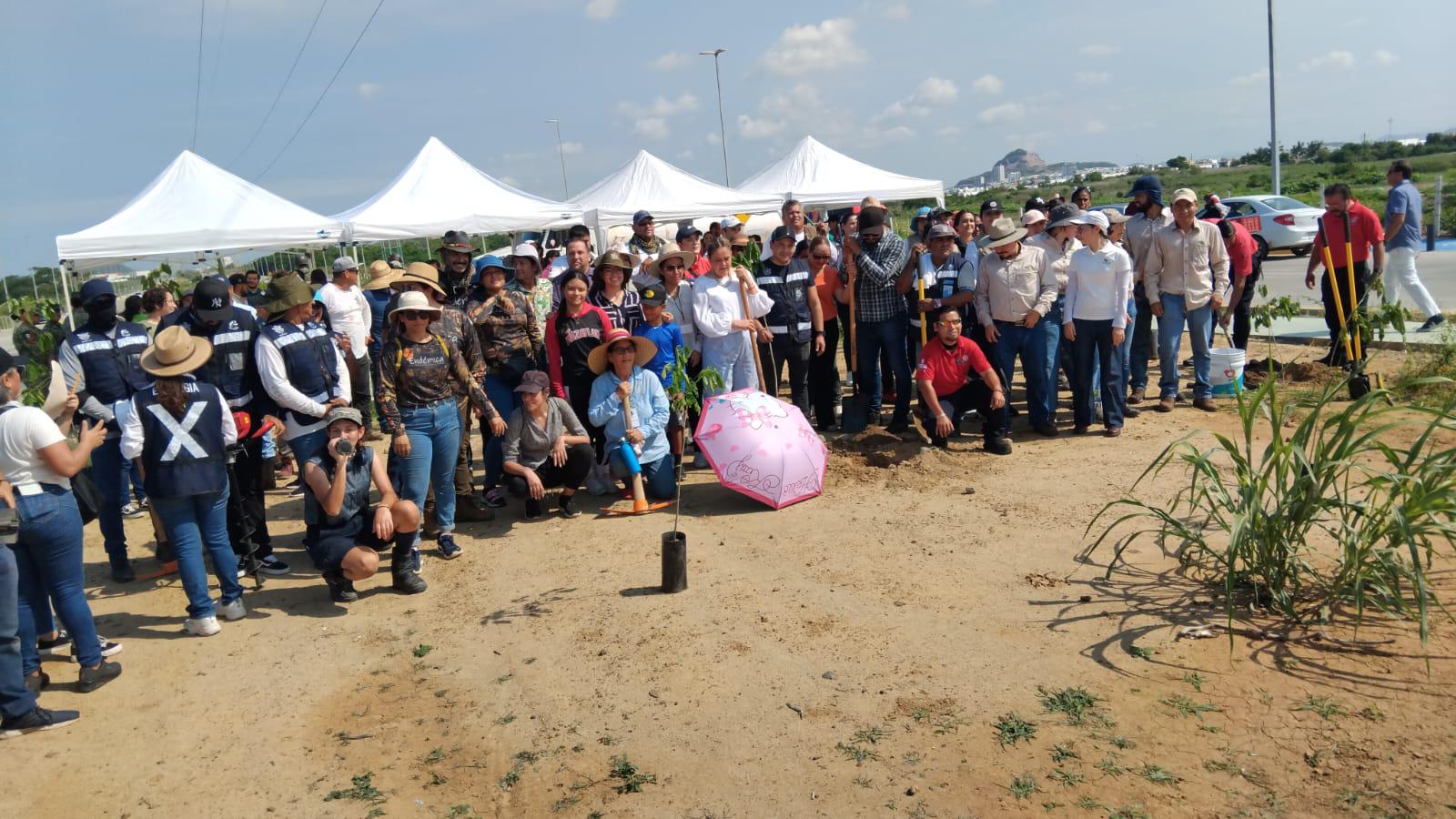 $!Realizan Jornada de arborización masiva en la Avenida Delfín, en Mazatlán