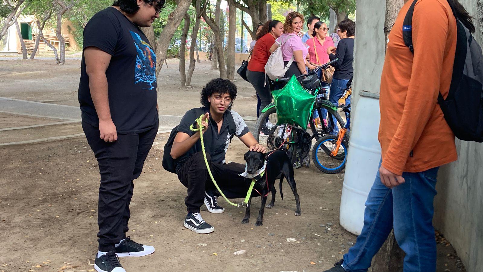 $!¡Adopta un lomito! Celebran campaña de adopción y esterilización ‘Huellitas del Bienestar’